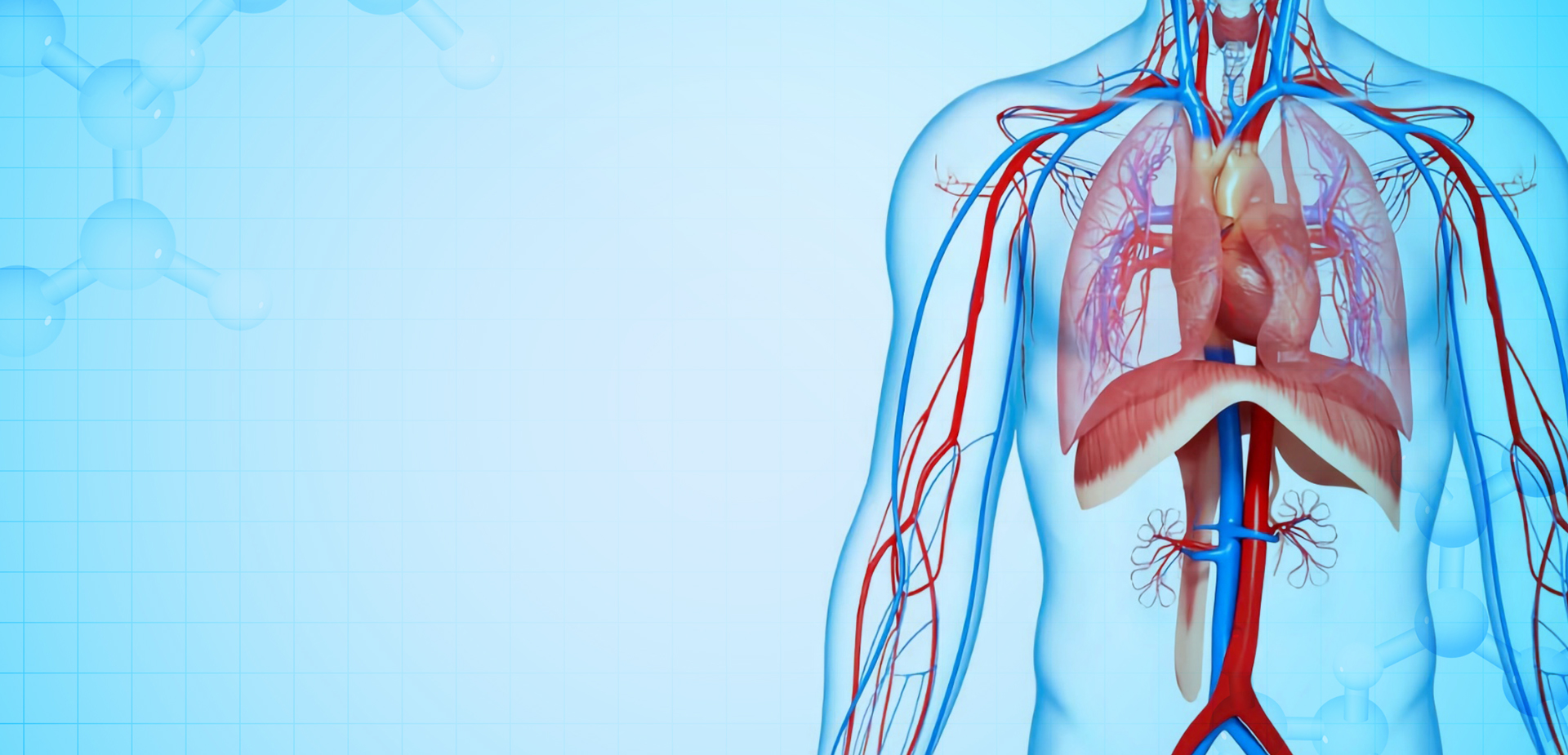 NINGBO LINSTANT POLYMEER MATERIALEN CO,. LTD.