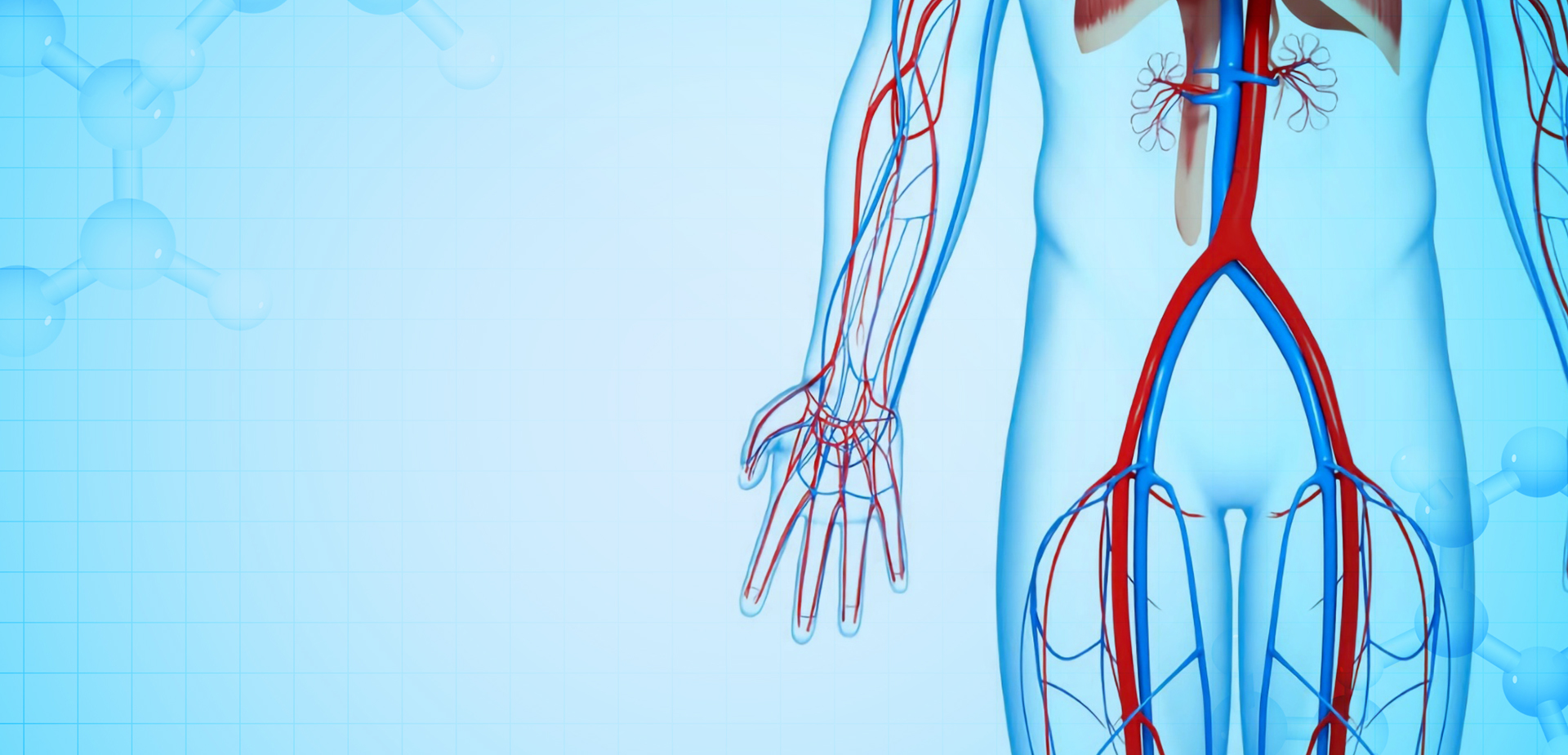 NINGBO LINSTANT POLYMEER MATERIALEN CO,. LTD.