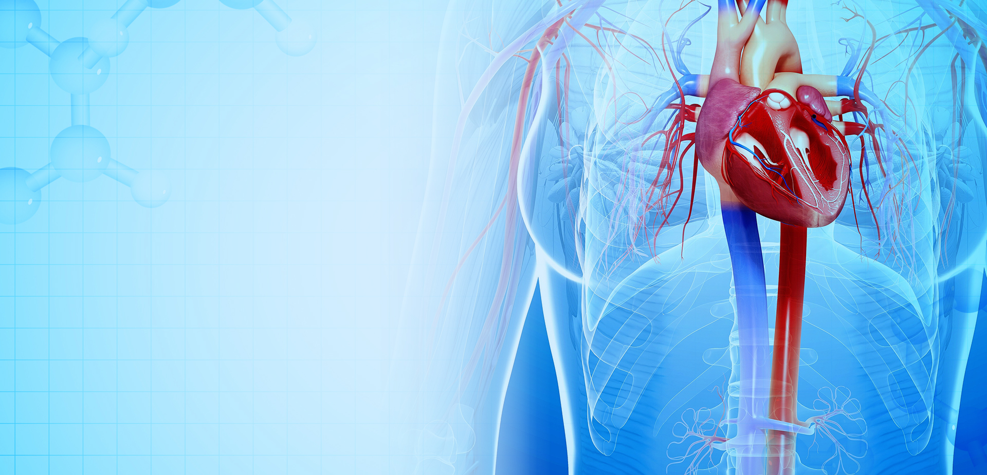 NINGBO LINSTANT POLYMEER MATERIALEN CO,. LTD.