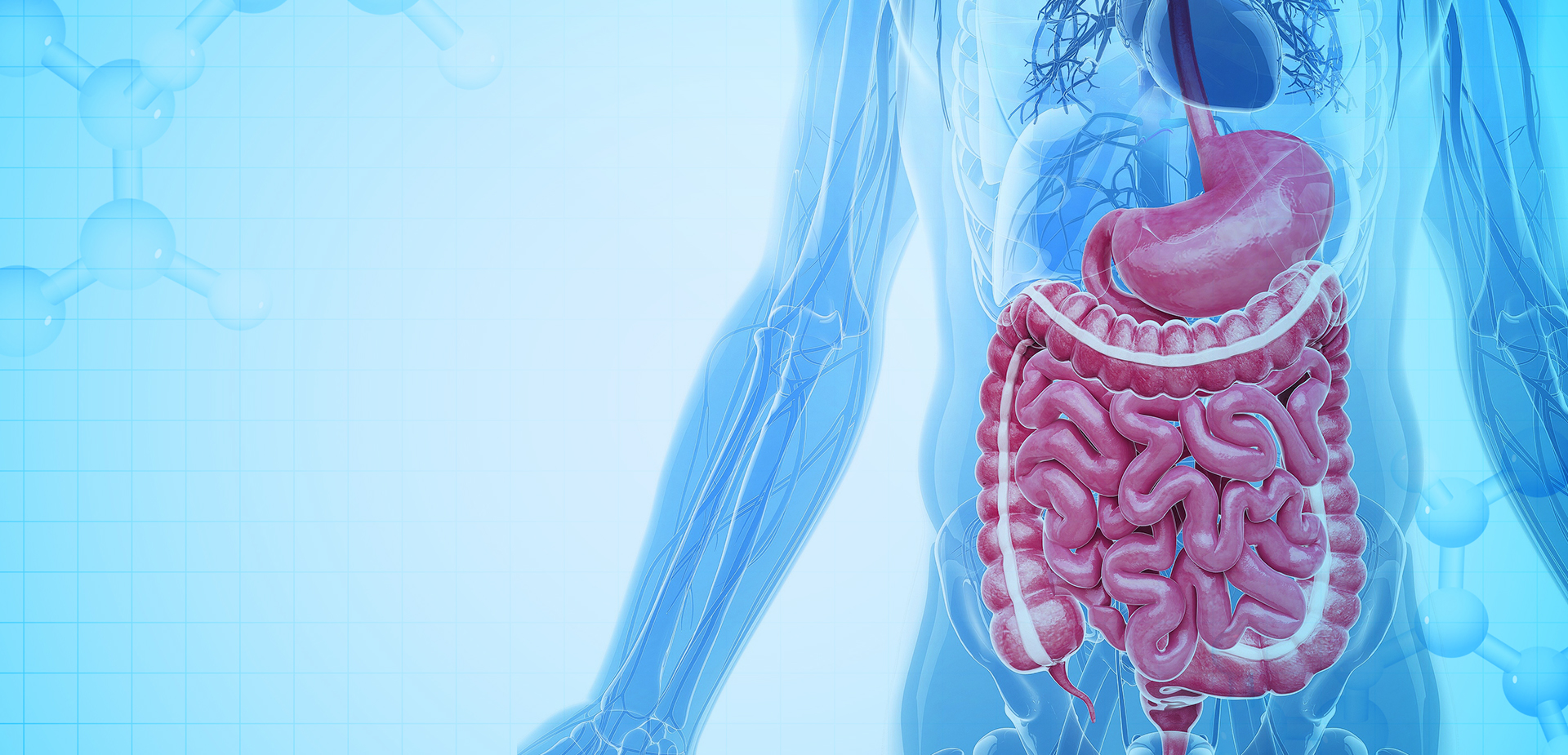 NINGBO LINSTANT POLYMEER MATERIALEN CO,. LTD.