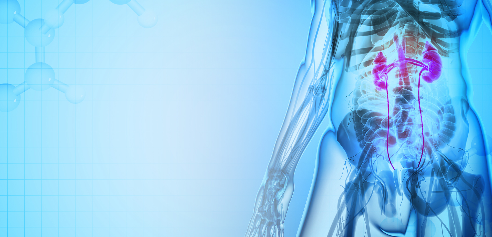 NINGBO LINSTANT POLYMEER MATERIALEN CO,. LTD.