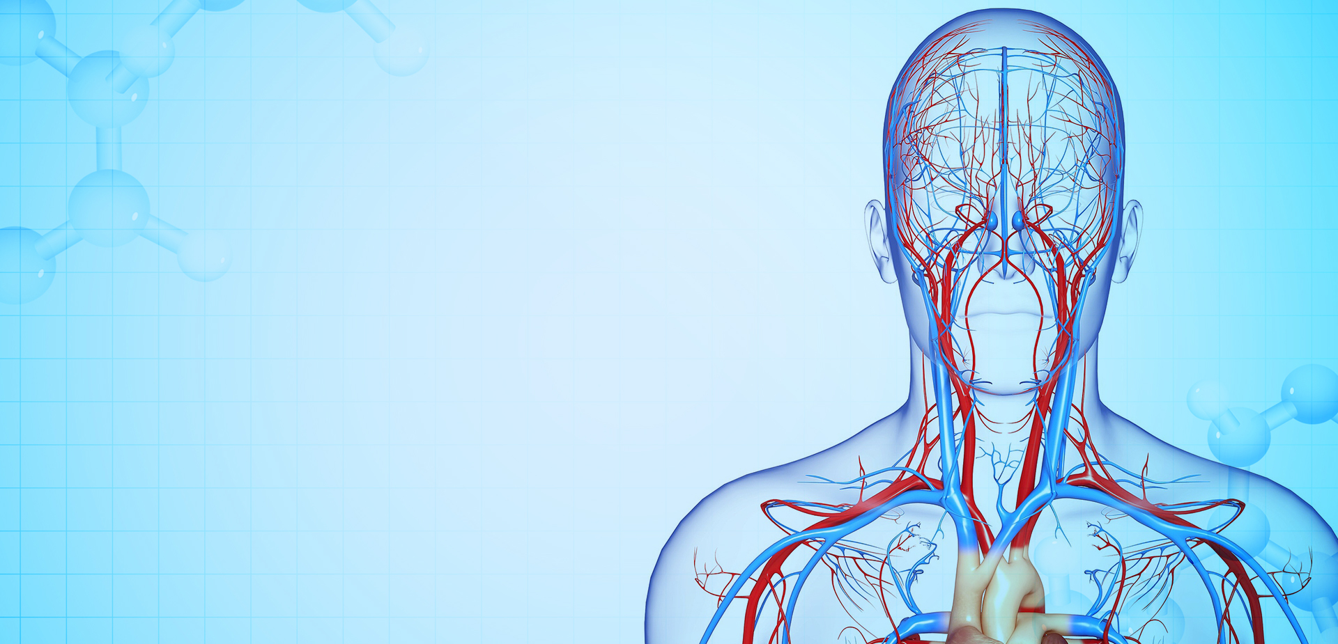 NINGBO LINSTANT POLYMEER MATERIALEN CO,. LTD.